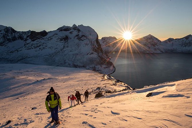 Tromso Snowshoeing - Valley, Fjord Views, Wildlife, Meal & Pickup - Leaving Tromsø for the Arctic countryside