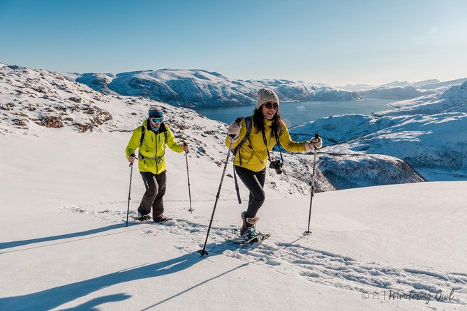 Tromso Snowshoeing - Valley, Fjord Views, Wildlife, Meal & Pickup - Views from hills, forests, and fjords