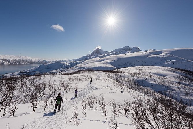 Tromso Snowshoeing - Valley, Fjord Views, Wildlife, Meal & Pickup - Photos without keeping your camera out