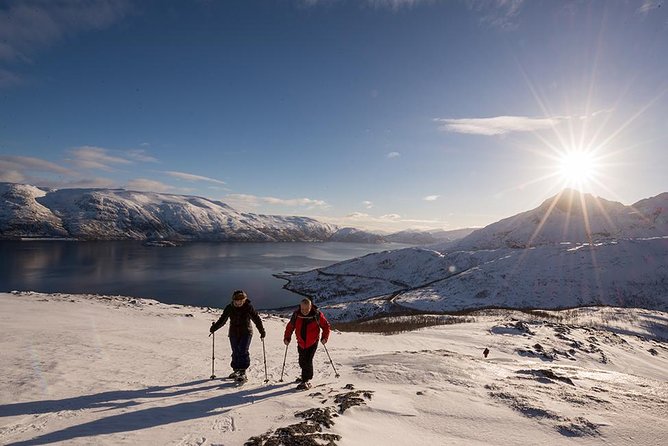 Tromso Snowshoeing - Valley, Fjord Views, Wildlife, Meal & Pickup - How the $129 price works out