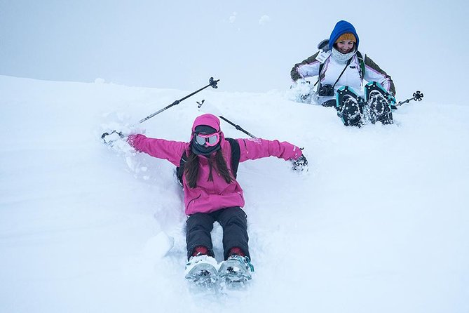 Tromso Snowshoeing - Valley, Fjord Views, Wildlife, Meal & Pickup - Snowshoes, poles, and the first stretch of walking