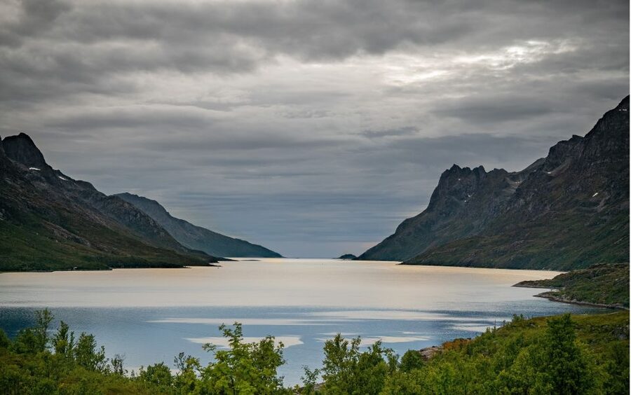 Tromsø: Sommaroy Fjord Tour with Lunch Option & Midnight Sun - Is the $123 price good value?