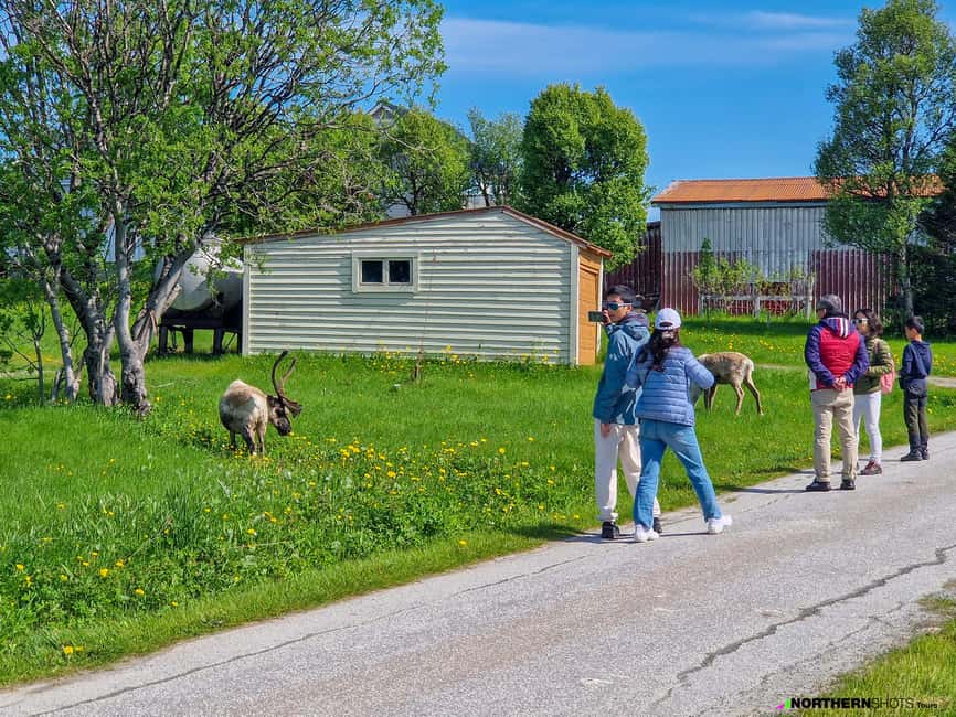 Tromsø: Sommaroy Fjord Tour with Lunch Option & Midnight Sun - Who will enjoy this Sommarøy trip?