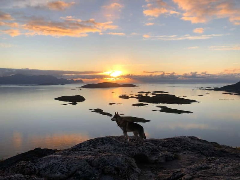 Tromsø: Sommarøy Islands Midnight Sun Tour - Why Sommarøy is worth the four-hour ride