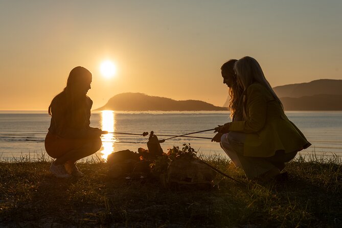 Tromsø & Sommarøy - Private coastal tour with a local - A private group changes the pace