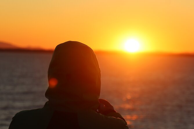 Tromsø & Sommarøy - Private coastal tour with a local - Coffee, snacks, and the outdoor pause
