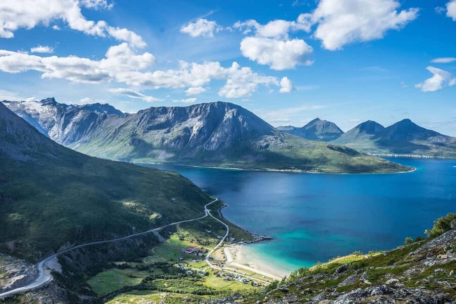 Tromsø: Summer Day Hike in the wilderness - Watching for Arctic plants and animals