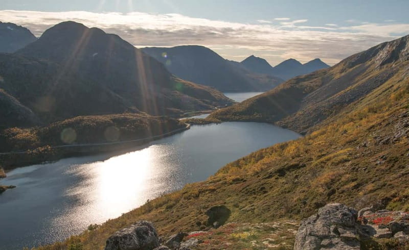 Tromsø: Summer Day Hike in the wilderness - Who will enjoy this hike most