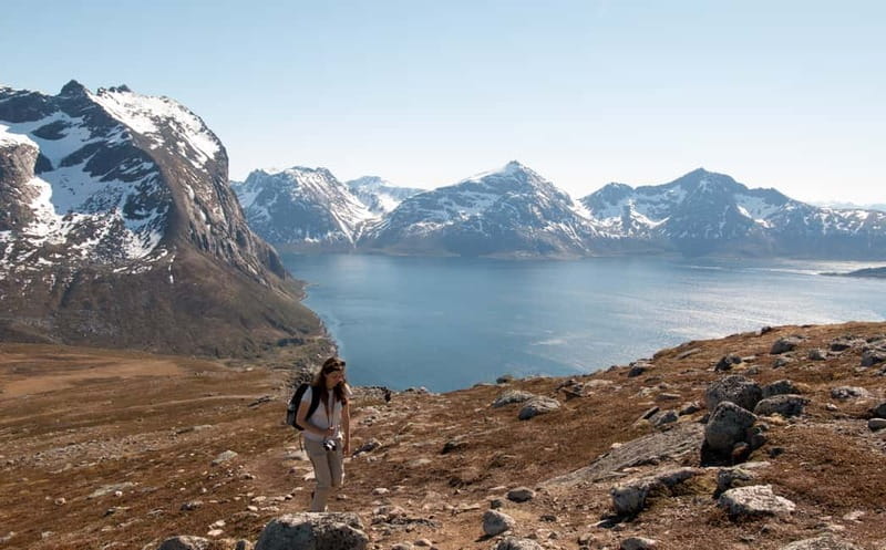 Tromsø: Summer Day Hike in the wilderness - The walk toward Brosmetinden