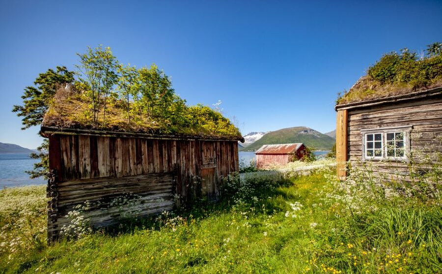 Tromsø: Summer Fjord Road Trip with Citizen Science - Who will enjoy this four-hour trip