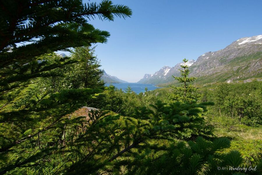 Tromsø: Summer Fjord Road Trip with Citizen Science - Small group size and guide style