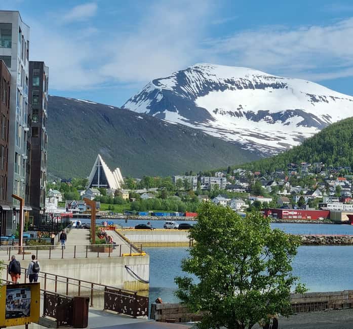 Tromsø Sweet Temptations tour: afternoon tea & chocolates - Finding Tromsø’s favourite café treats