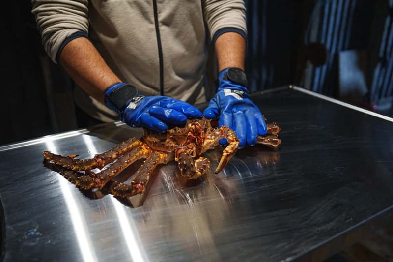 Tromsø: Tasty King Crab Adventure - Seeing the king crab before it reaches your plate