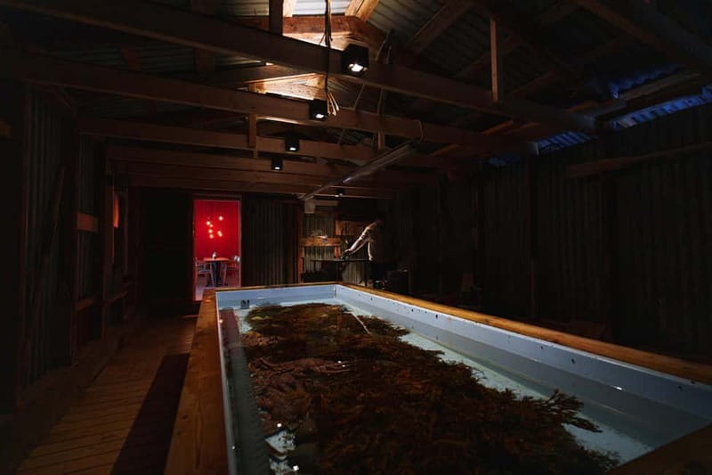 Tromsø: Tasty King Crab Adventure - Practical details before you book