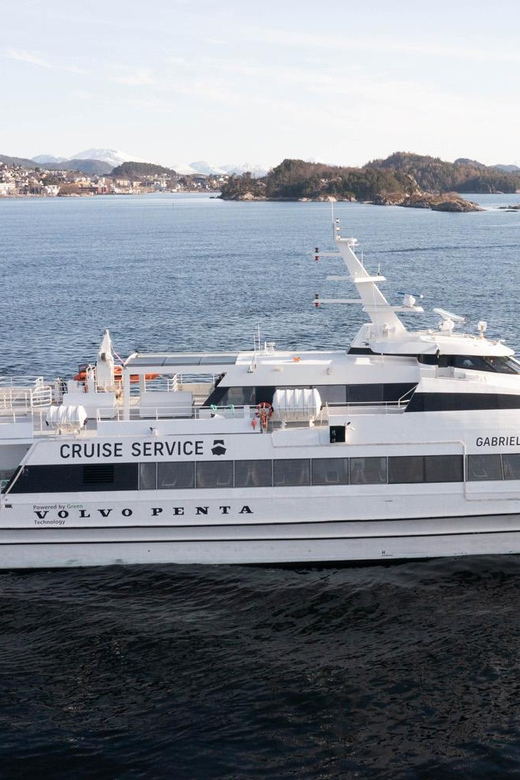 Tromsø Whale Safari with MS Gabriele - Is $207 good value?