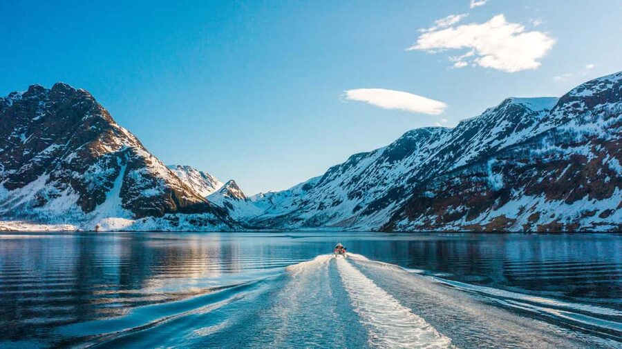 Tromsø Whale Safari with MS Keiser Wilhelm - Key points to know before you book
