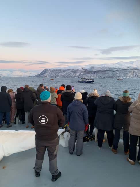 Tromsø Whale Safari with MS Keiser Wilhelm - Heading north from Tromsø on MS Keiser Wilhelm