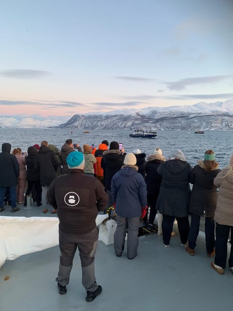 Tromsø Whale Safari with MS Keiser Wilhelm - Rough seas and the reality of Arctic weather