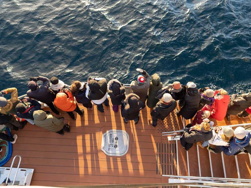 Tromsø: Whale Watching Tour by Hybrid-Electric Boat - Who should book this Arctic whale trip?