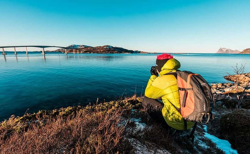 Tromsø: Winter Fjord Road Trip with Citizen Science - Wildlife without a guarantee
