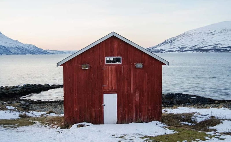 Tromsø: Winter Fjord Road Trip with Citizen Science - Homemade food by the water