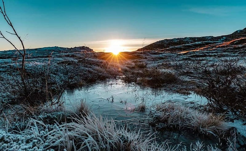 Tromsø: Winter Fjord Road Trip with Citizen Science - Fjords, beaches, and Arctic villages