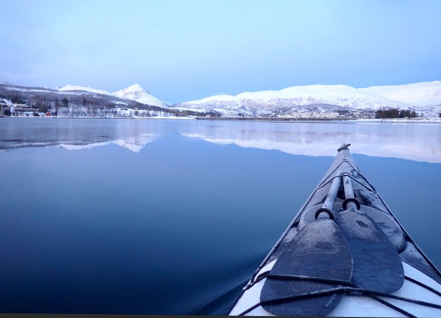 Tromsø: Winter Sea Kayaking Tour with Wildlife Sightings - Why winter kayaking works so well around Tromsø
