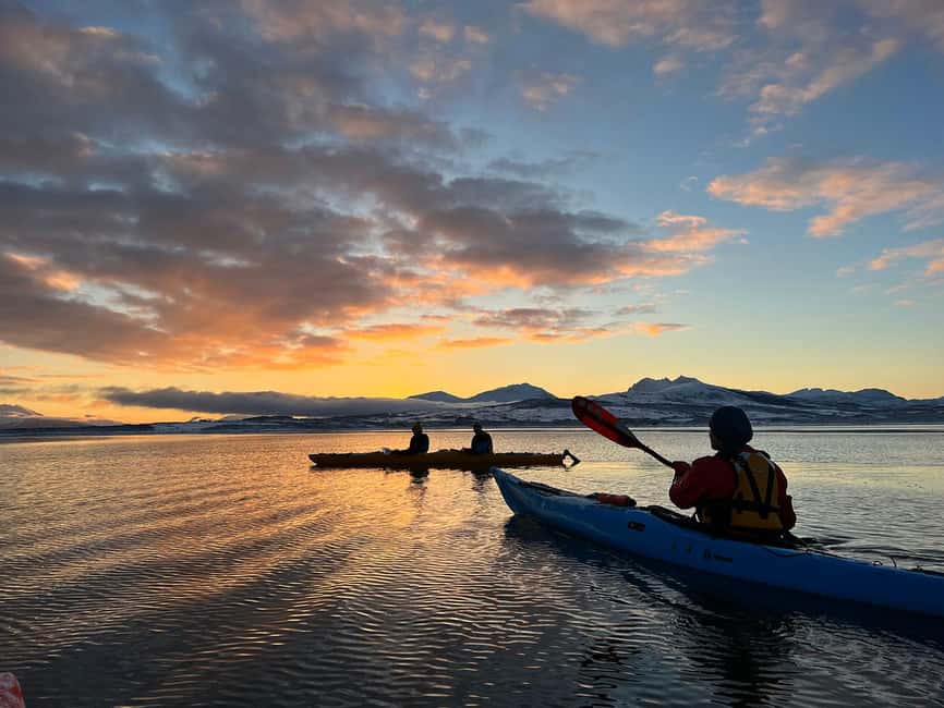 Tromsø: Winter Sea Kayaking Tour with Wildlife Sightings - Watching for seals, eagles, otters, and birds