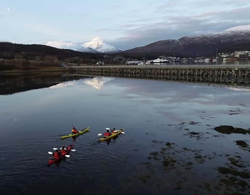 Tromsø: Winter Sea Kayaking Tour with Wildlife Sightings - What the $191 price really covers