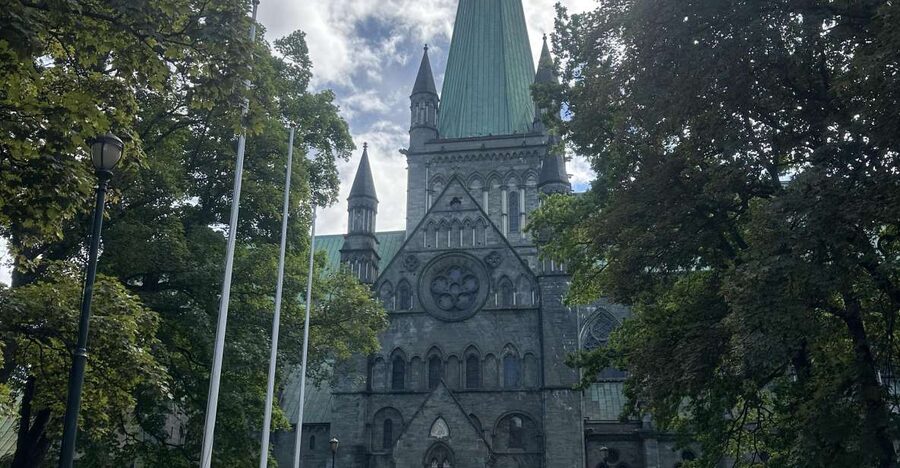 Trondheim: 2-hour City Walking Tour - Following the Nid past colorful warehouses