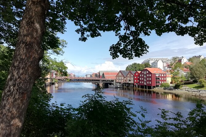 Trondheim: Discover the city of kings with a local guide - Why this two-hour walk works in Trondheim