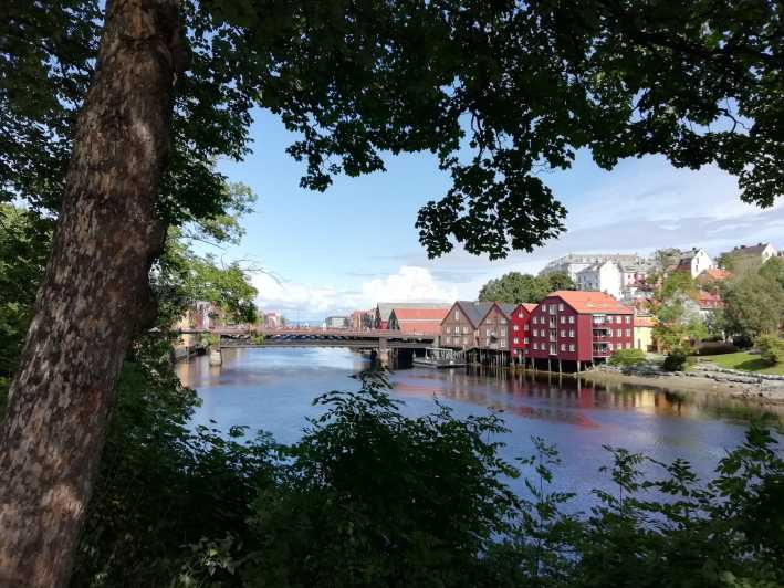 Trondheim : Explore the city of kings with a local guide - Nidaros Cathedral, a grand view without an interior visit
