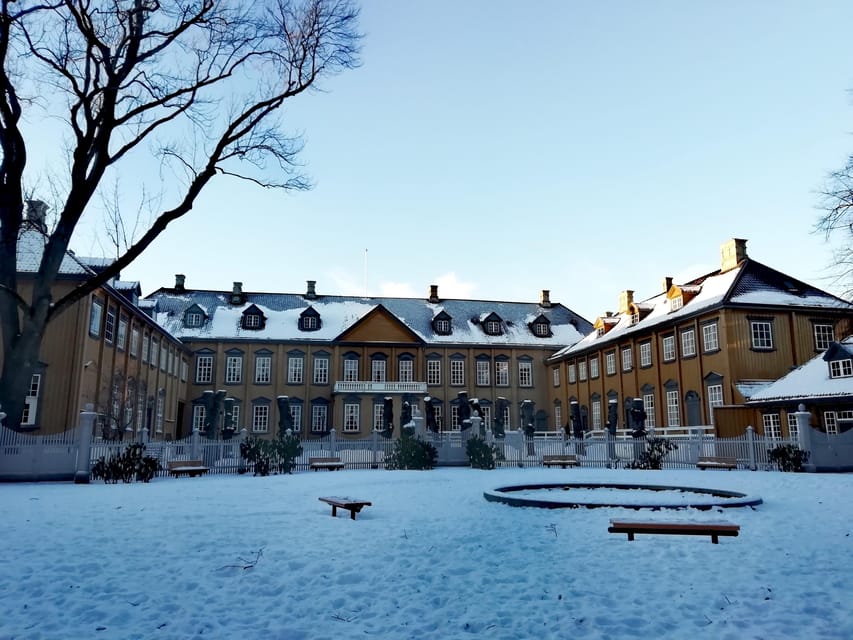 Trondheim : Explore the city of kings with a local guide - What the guides add to the experience