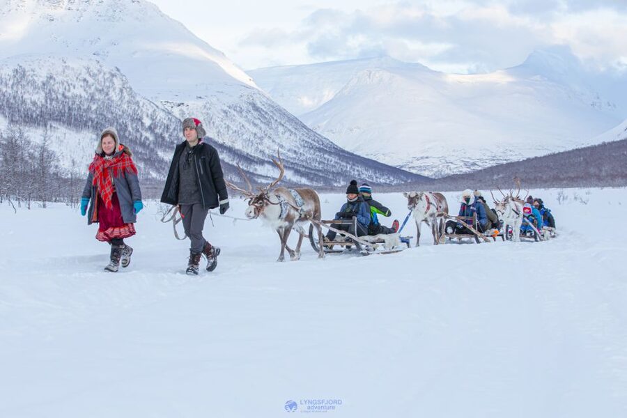 True Locals of the Arctic: Reindeer Sledding at Camp Tamok - The bus from Tromsø takes you into the Arctic