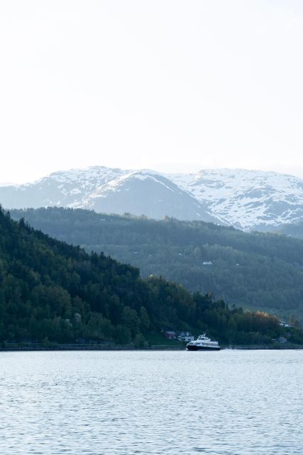 Ulvik adventure: Exploring Hardangerfjord's Osafjord by RIB - Is $78 a fair price?