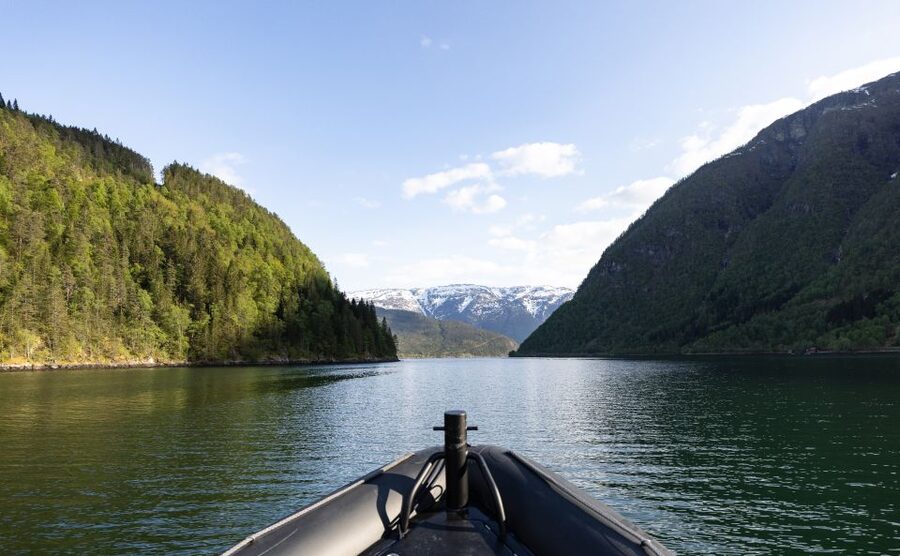 Ulvik: Hardangerfjord Ultimate RIB Tour - Price, timing, and what you get for $141