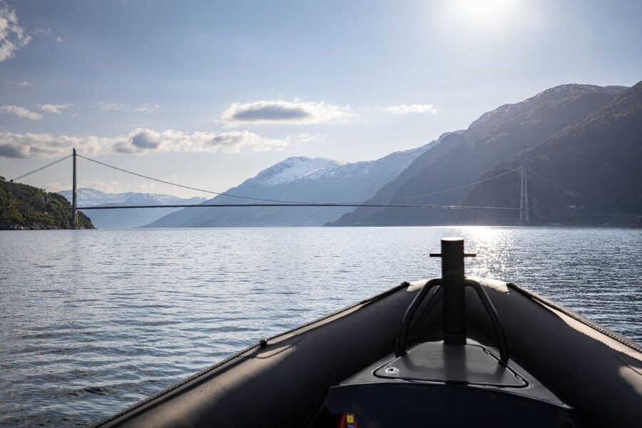 Ulvik: Hardangerfjord Ultimate RIB Tour - Who should book this experience