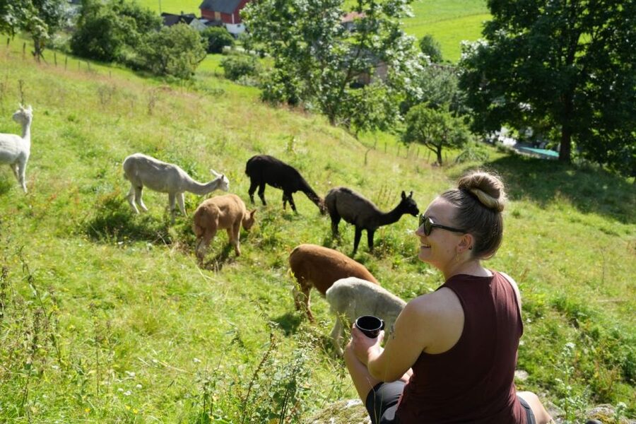 Vik i Sogn: Authentic Farm Visit - A real farm visit above Vik