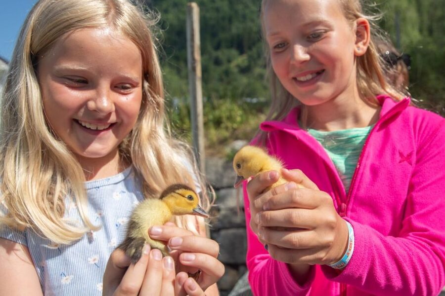 Vik i Sogn: Authentic Farm Visit - Why the small group makes a difference