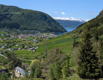 Vik i Sogn: Authentic Farm Visit