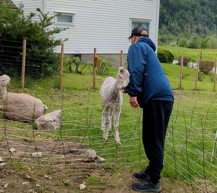 Vik i Sogn: Authentic Farm Visit - Who will enjoy Steim most?