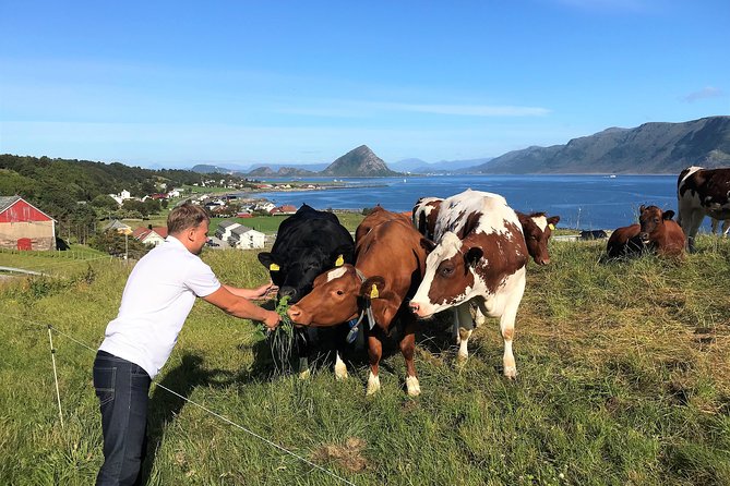 Viking Islands from Alesund: 5-Hour Private Group Tour - Hessa, Storsenter, and the city from another angle