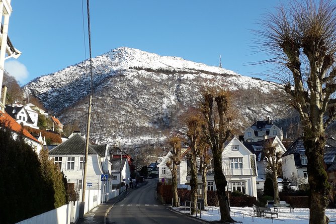 Walking tour: Medieval Spirit of Bergen + sweet Arctic gifts - The Fish Market starts the story with food