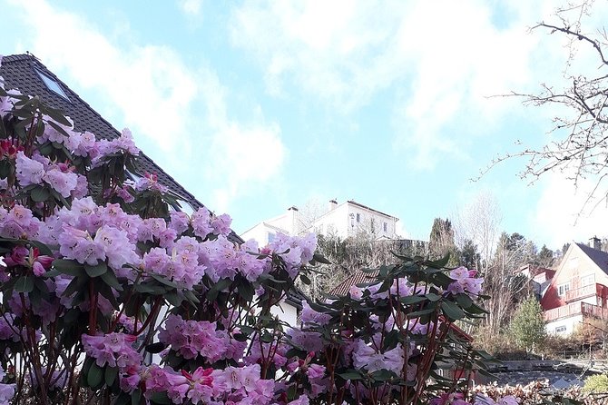 Walking tour: Medieval Spirit of Bergen + sweet Arctic gifts - Bryggen reveals Bergen’s Hanseatic past