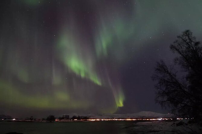 Watching The Aurora Dance - What happens when the aurora appears