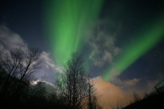 Watching The Aurora Dance - Who will enjoy this evening most