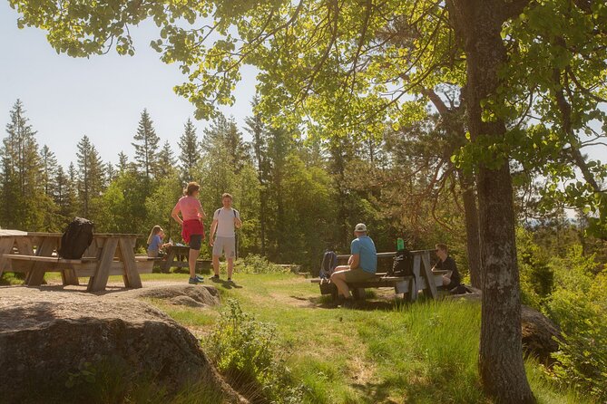Wildlife Forest Hike - Who should book this forest hike