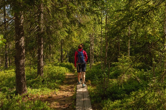 Wildlife Forest Hike - Should you book the Wildlife Forest Hike?