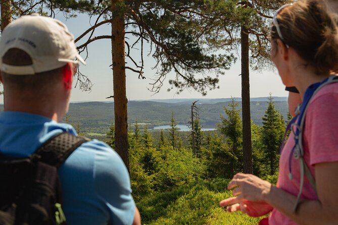 Wildlife Forest Hike - Norwegian cabin stops at Skjennungstua and Ullevålseter