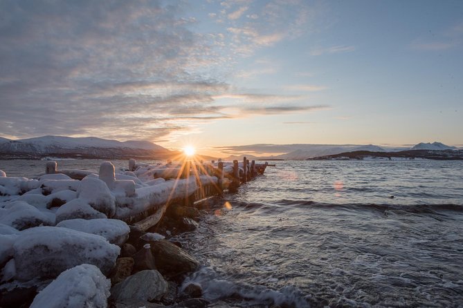 Winter Fjord Road Trip with Wandering Owl - Reindeer, changing weather, and the wildlife element